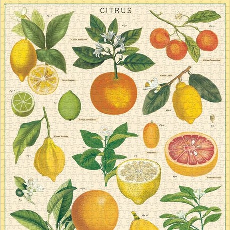 פאזל פירות הדר Citrus וינטג' 1,000 חלקים