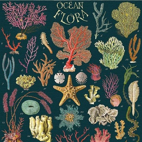 פאזל צמחי אוקיינוס וינטג' 1,000 חלקים  Ocean Flora