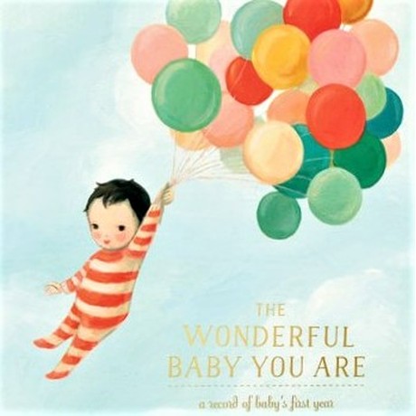 The Wonderful Baby You Are