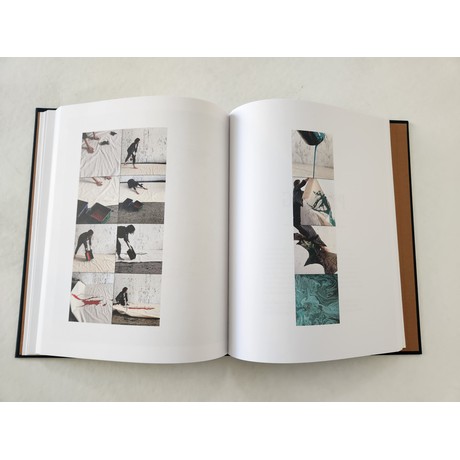 אורלי מיברג | ספר אמנית