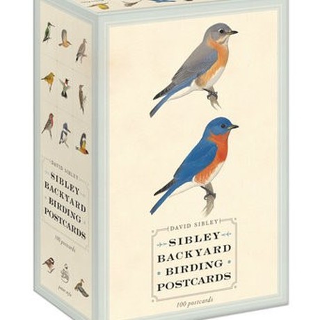 מארז גלויות Sibley Backyard Birding Postcards: 100 Postcards