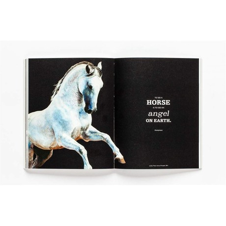 The Book of the Horse