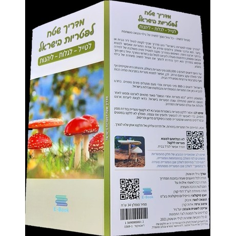 מדריך שטח לפטריות בישראל