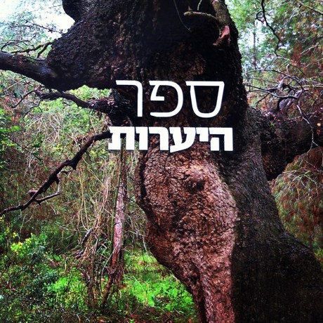 ספר היערות | היערות היפים בישראל