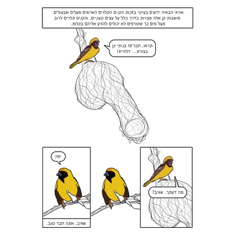 ספר הציפורים 2