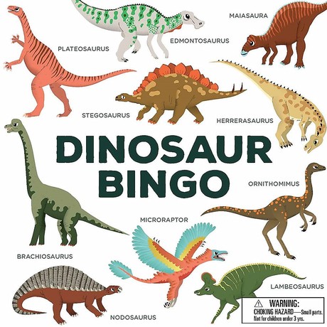 ערכה למשחק בינגו דינוזאורים