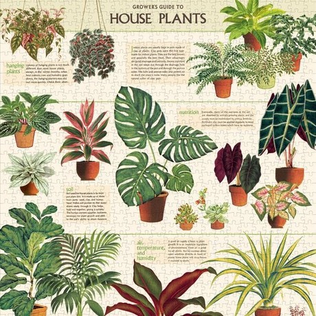 פאזל צמחי בית (House Plants) וינטג' 1,000 חלקים