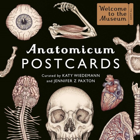 Anatomicum Postcard Box Welcome To The Museum גלויות