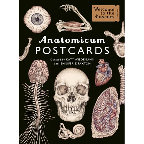 Anatomicum Postcard Box Welcome To The Museum גלויות