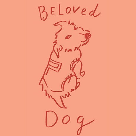 Beloved Dog
