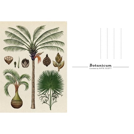 Botanicum Postcards Welcome to the Museum