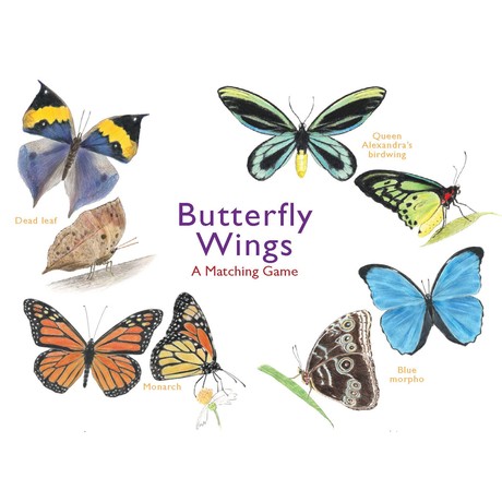 Butterfly Wings A Matching Game משחק קלפים