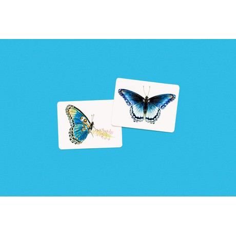 Butterfly Wings A Matching Game משחק קלפים