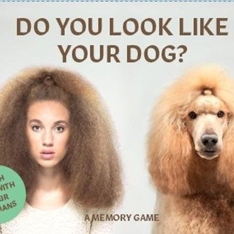 Do You Look Like Your Dog? Card & Memory Game משחק קלפים משחק זיכרון
