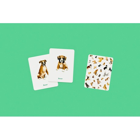 Dogs & Puppies A Memory Game משחק זיכרון