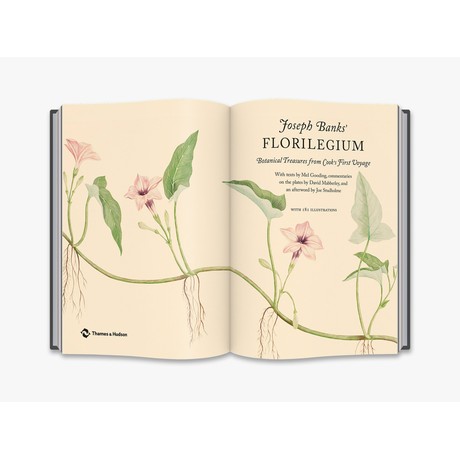 Joseph Banks' Florilegium Botanical Treasures from Cook's First Voyage