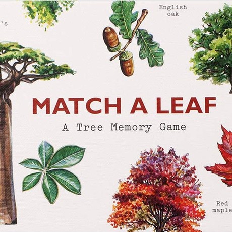 Match a Leaf - A Tree Memory Game משחק זיכרון