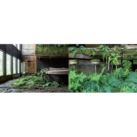 Naturalia: Overgrown Abandoned Places