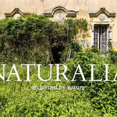 Naturalia: Overgrown Abandoned Places