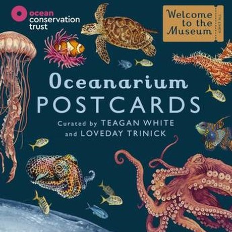 Oceanarium Postcards - Welcome To The Museum