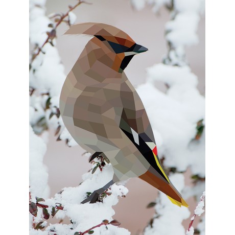 Paint by Sticker: Birds