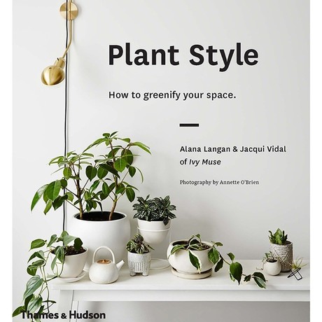 Plant Style: How to greenify your space