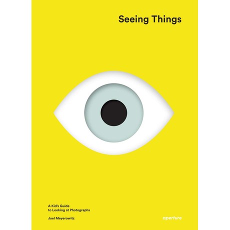 Seeing Things: A Kid's Guide to Looking at Photographs