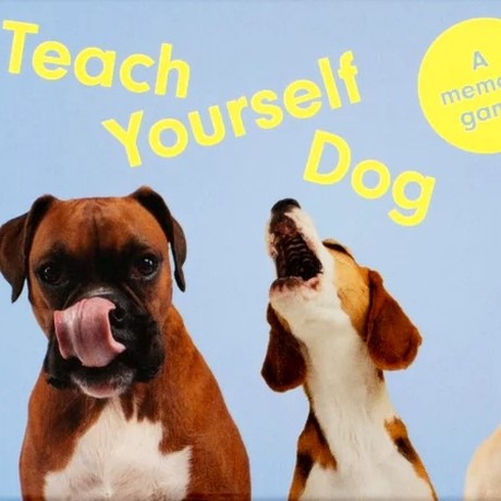 Teach Yourself Dog: A memory game משחק זיכרון