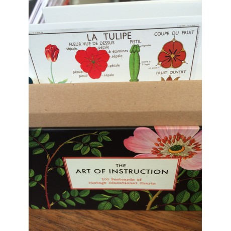 The Art of Instruction: Postcards 100 Postcards of Vintage Educational Charts