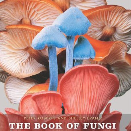 The Book of Fungi: A Life-Size Guide to Six Hundred Species from around the World