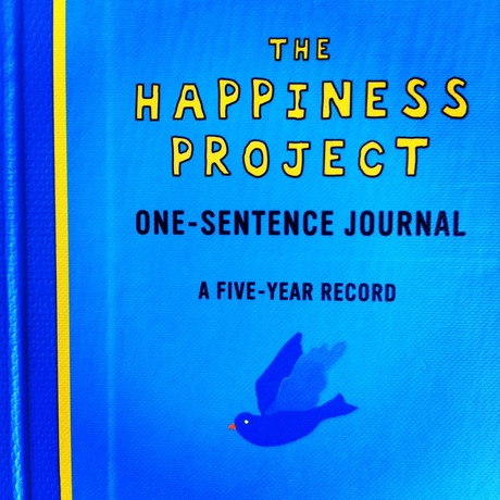 The Happiness Project One-Sentence Journal A Five-Year Record