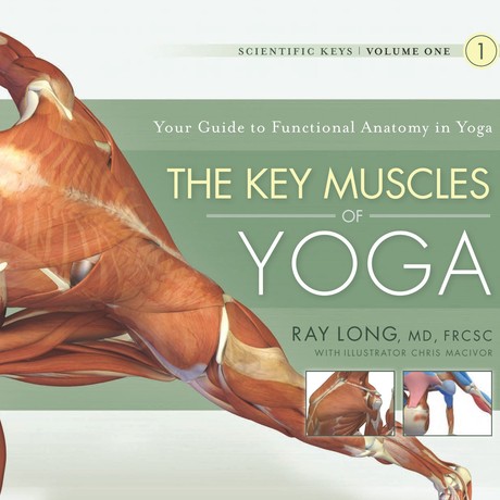 The Key Muscles of Yoga Scientific Keys Vol 1