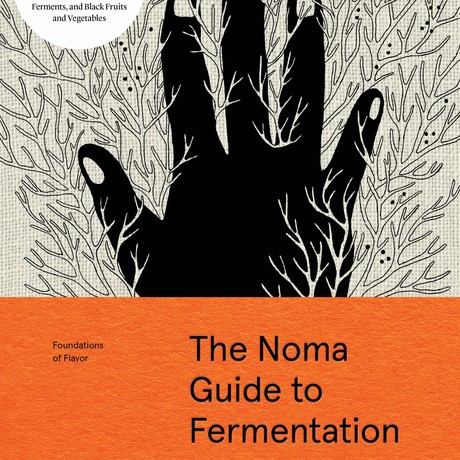 The Noma guide to fermentation