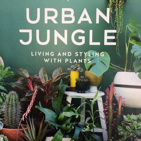 Urban Jungle Living and Styling with Plants