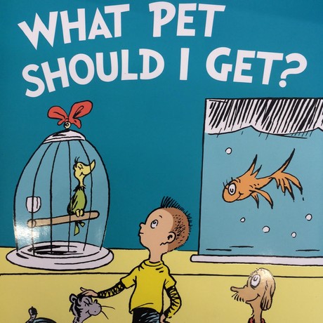 ?What Pet Should I Get
