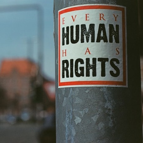 המלצות המגדלור ליום זכויות האדם
