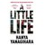 A Little Life