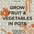 Grow Fruit & Vegetables in Pots