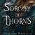 Sorcery of Thorns