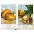The Vilna Vegetarian Cookbook