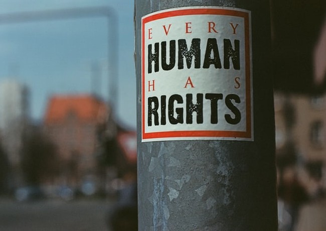 המלצות המגדלור ליום זכויות האדם